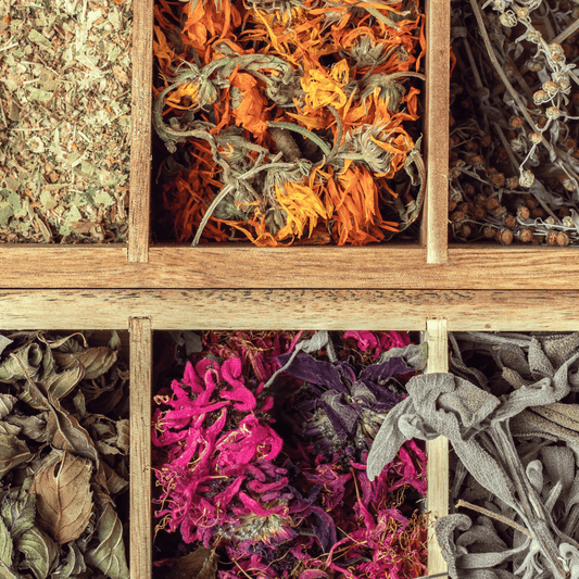 10 Retinol Alternatives: Gentler Options for Sensitive Skin - Brynn Beauty