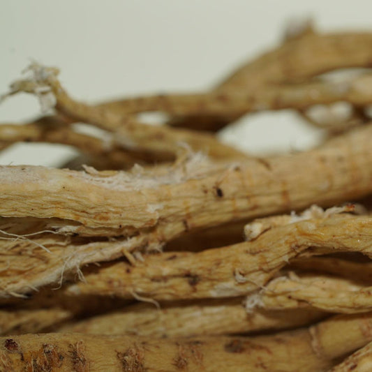 ASTRAGALUS ROOT - Brynn Beauty