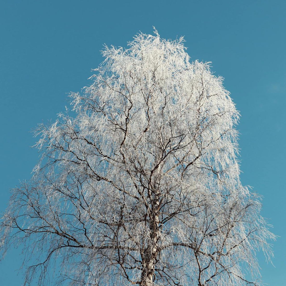 Cold Weather, Warm Glow: The Ultimate Winter Skincare Guide - Brynn Beauty