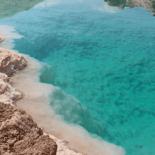 Ectoin - Brynn Beauty